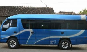 travel denpasar jember