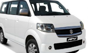 travel surabaya lumajang