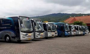 Paket Tour Wisata - Tirta Yatra Harian - Bali