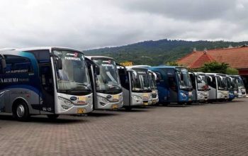 Paket Tour Wisata - Tirta Yatra Harian - Bali