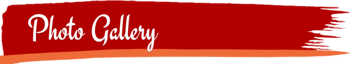 BaliWijayaTrans-Travel-Denpasar-Surabaya-Malang-Banyuwangi-Jember-Jogja-Semarang-Solo_Gallery2